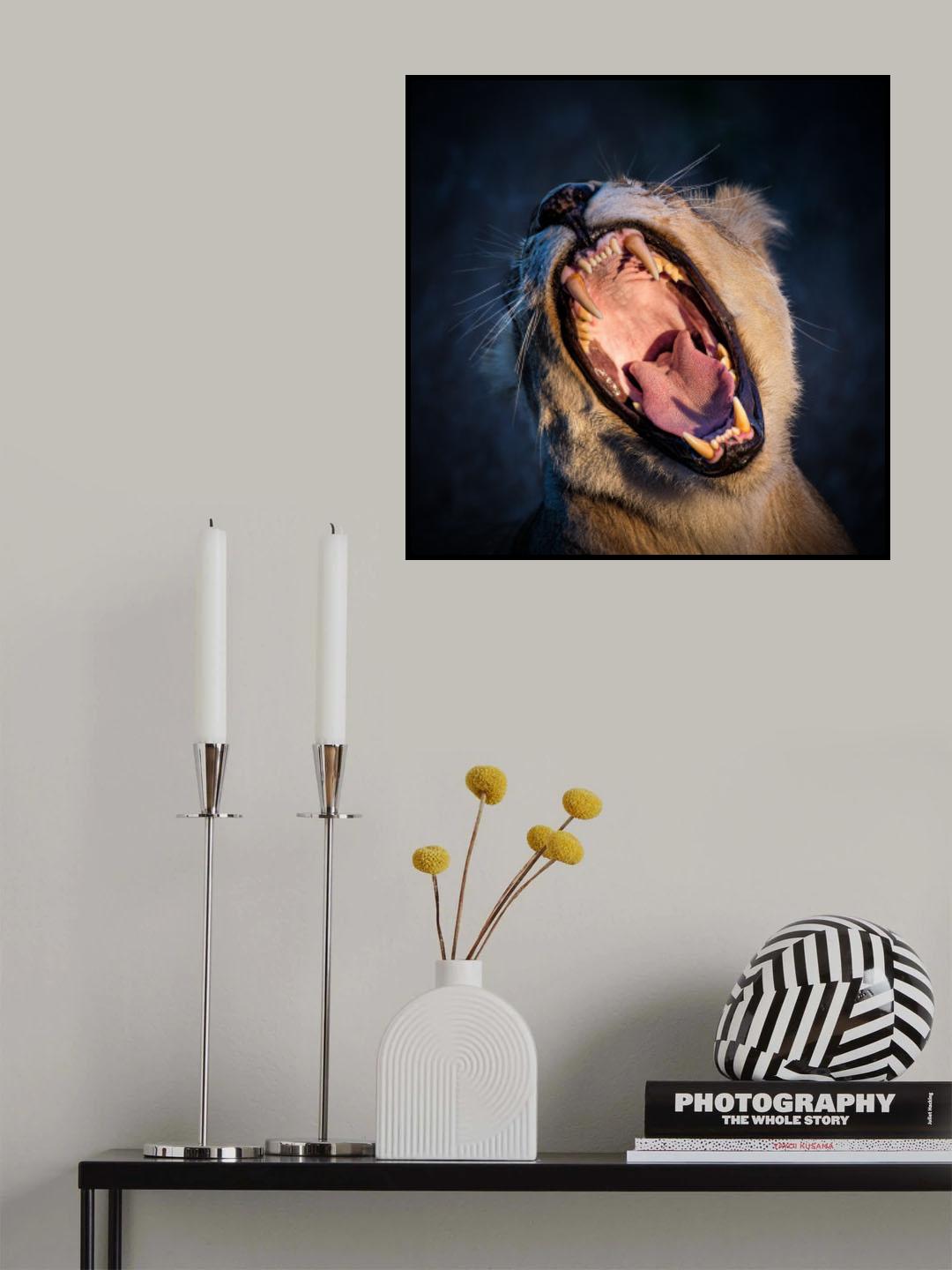 The Wild Yawn Poster och Canvastavla