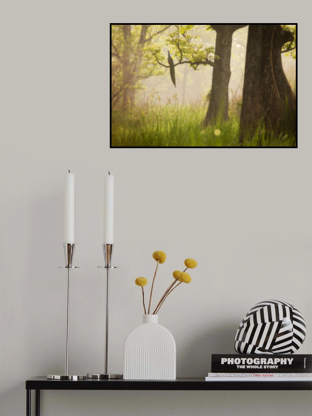 Peacock Poster och Canvastavla