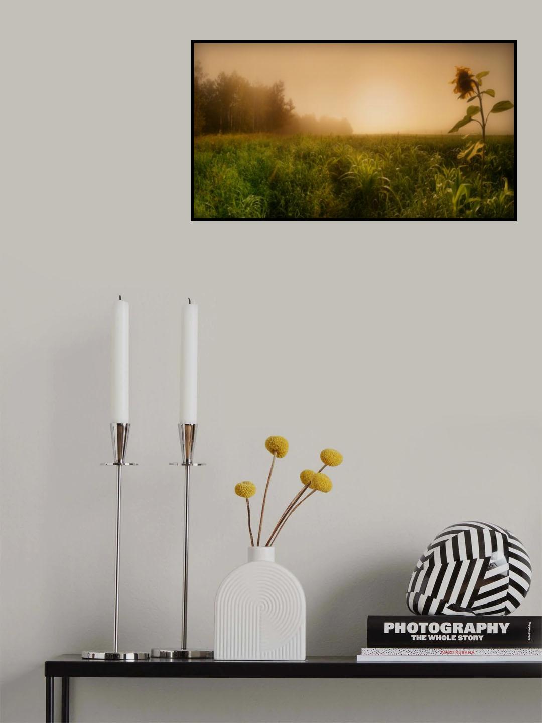 Misty morning Poster och Canvastavla