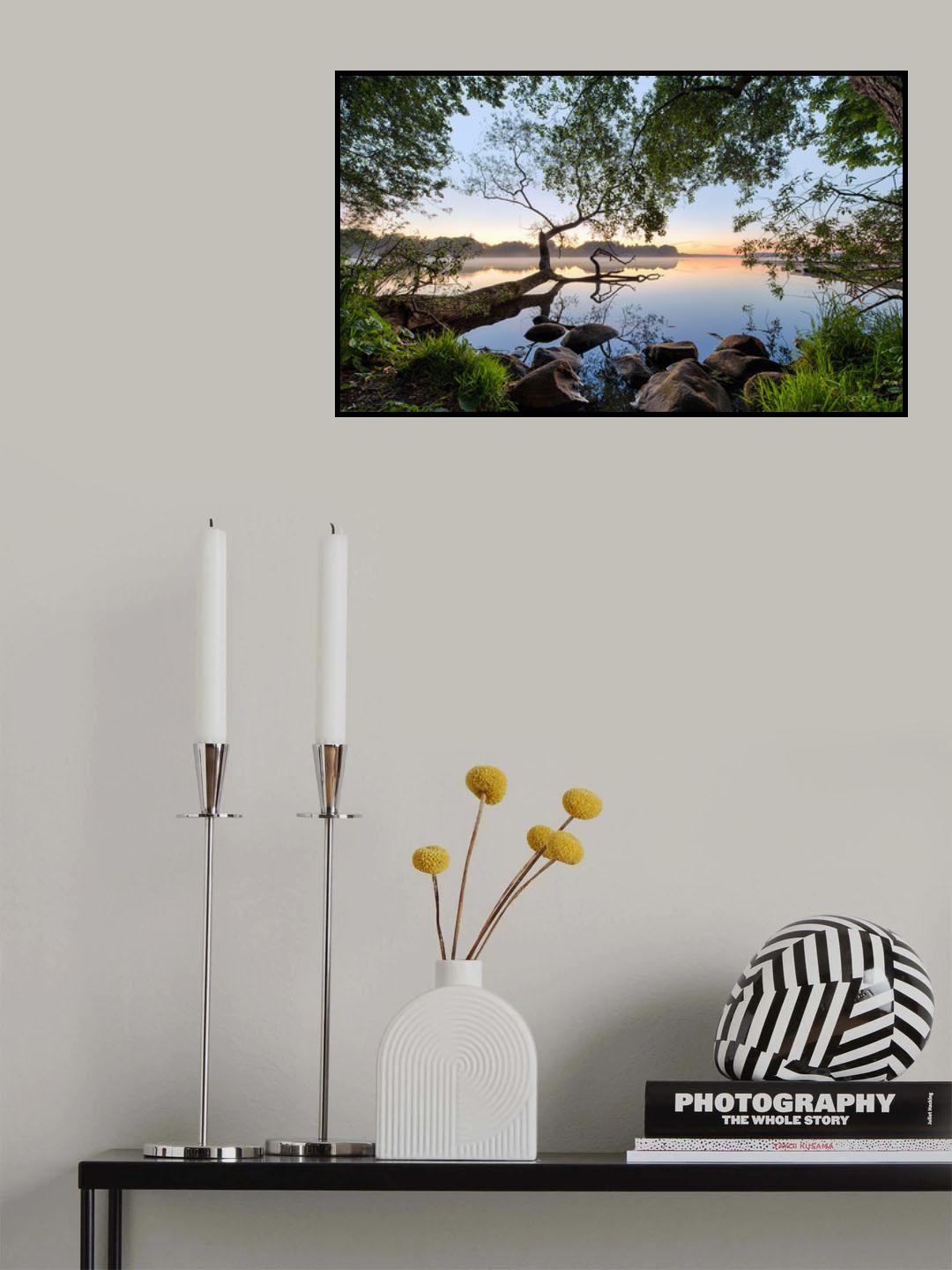 Lake view Poster och Canvastavla
