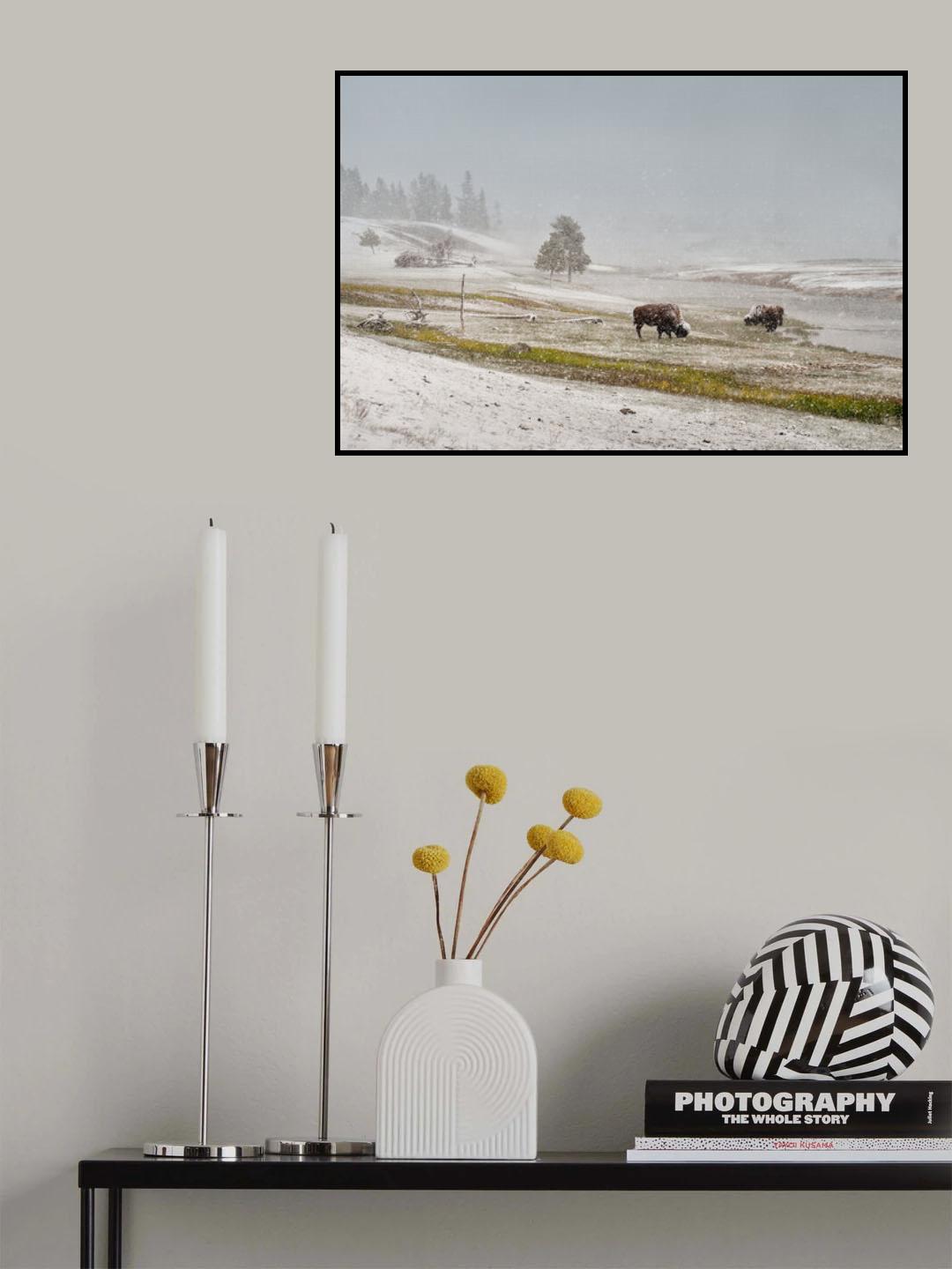 Winter gaze Poster och Canvastavla