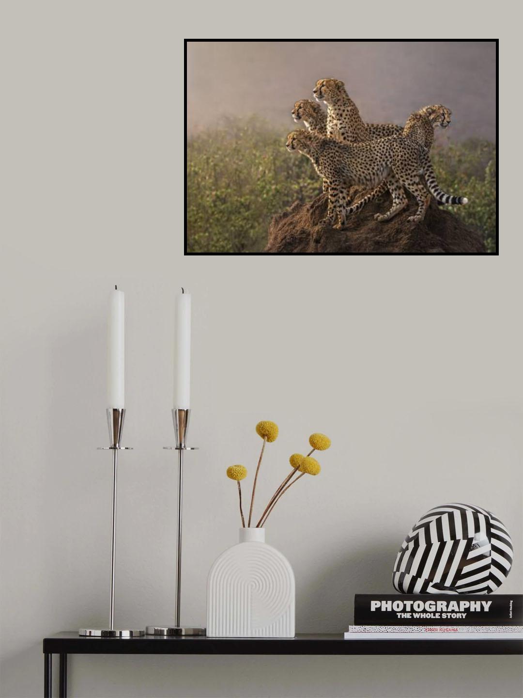 Searching for Food Poster och Canvastavla