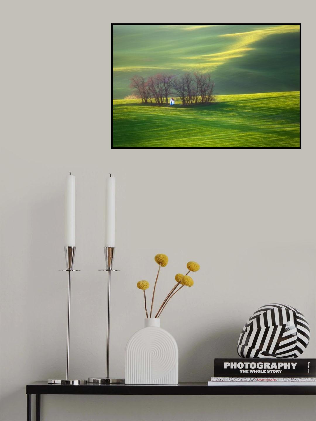 Fields... Poster och Canvastavla