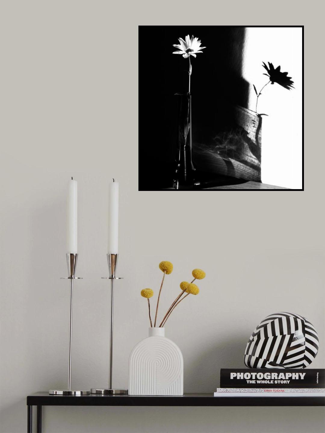 light and shadow Poster och Canvastavla