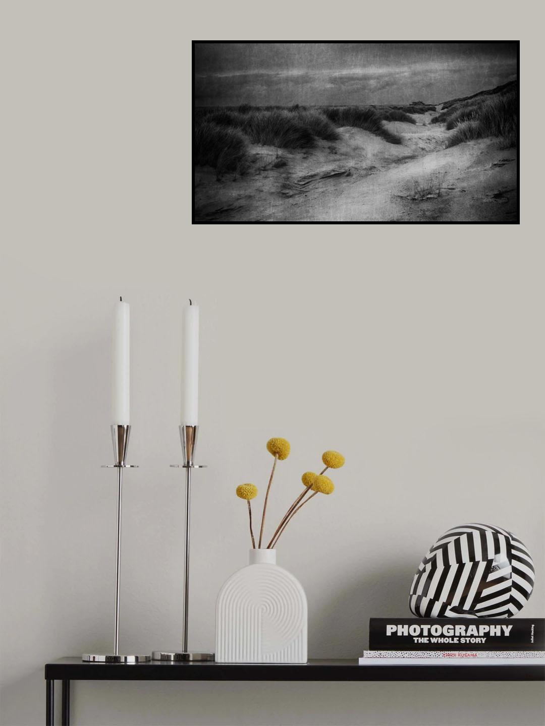 Between the dunes Poster och Canvastavla