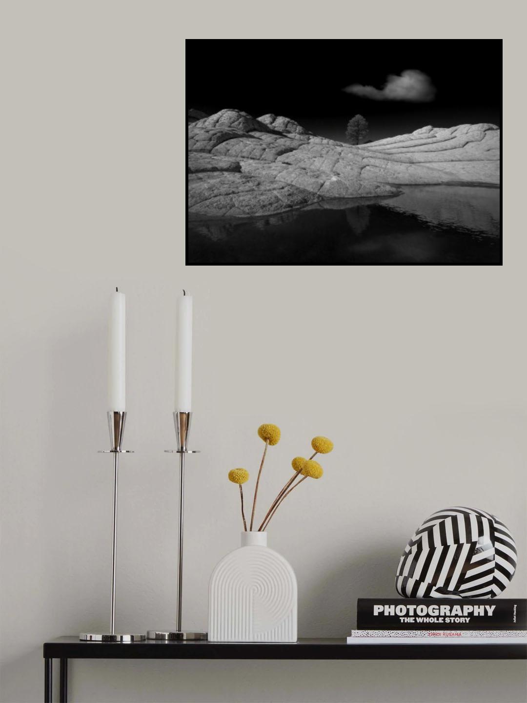 White Pocket Poster och Canvastavla