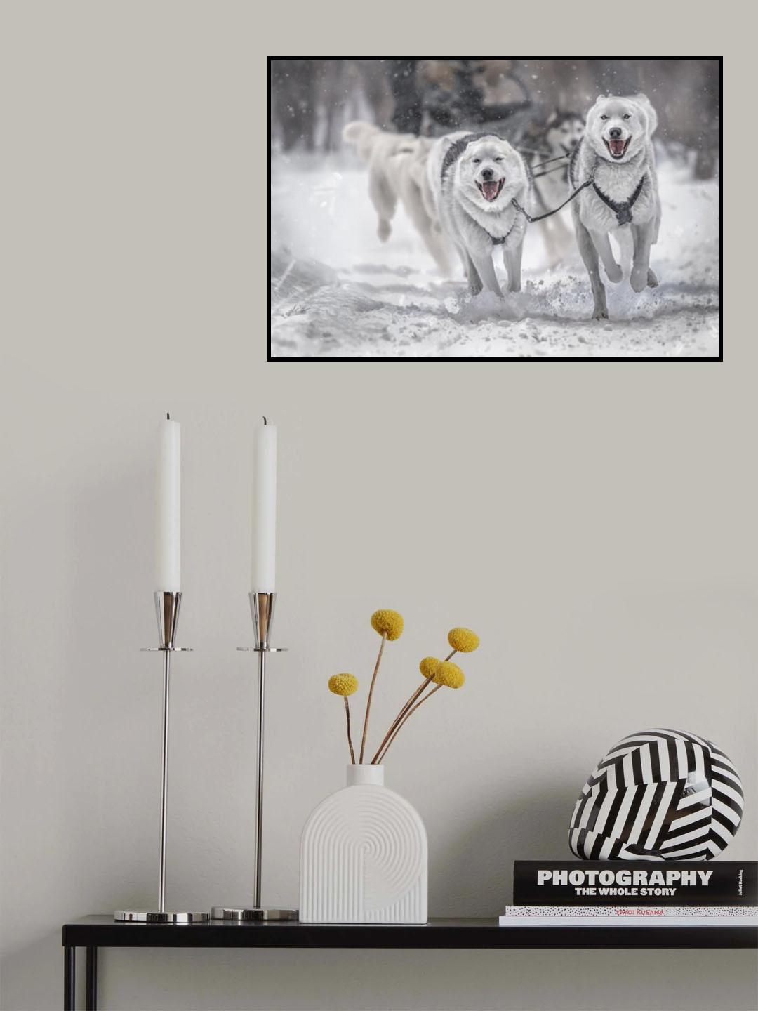 Winter sport Poster och Canvastavla
