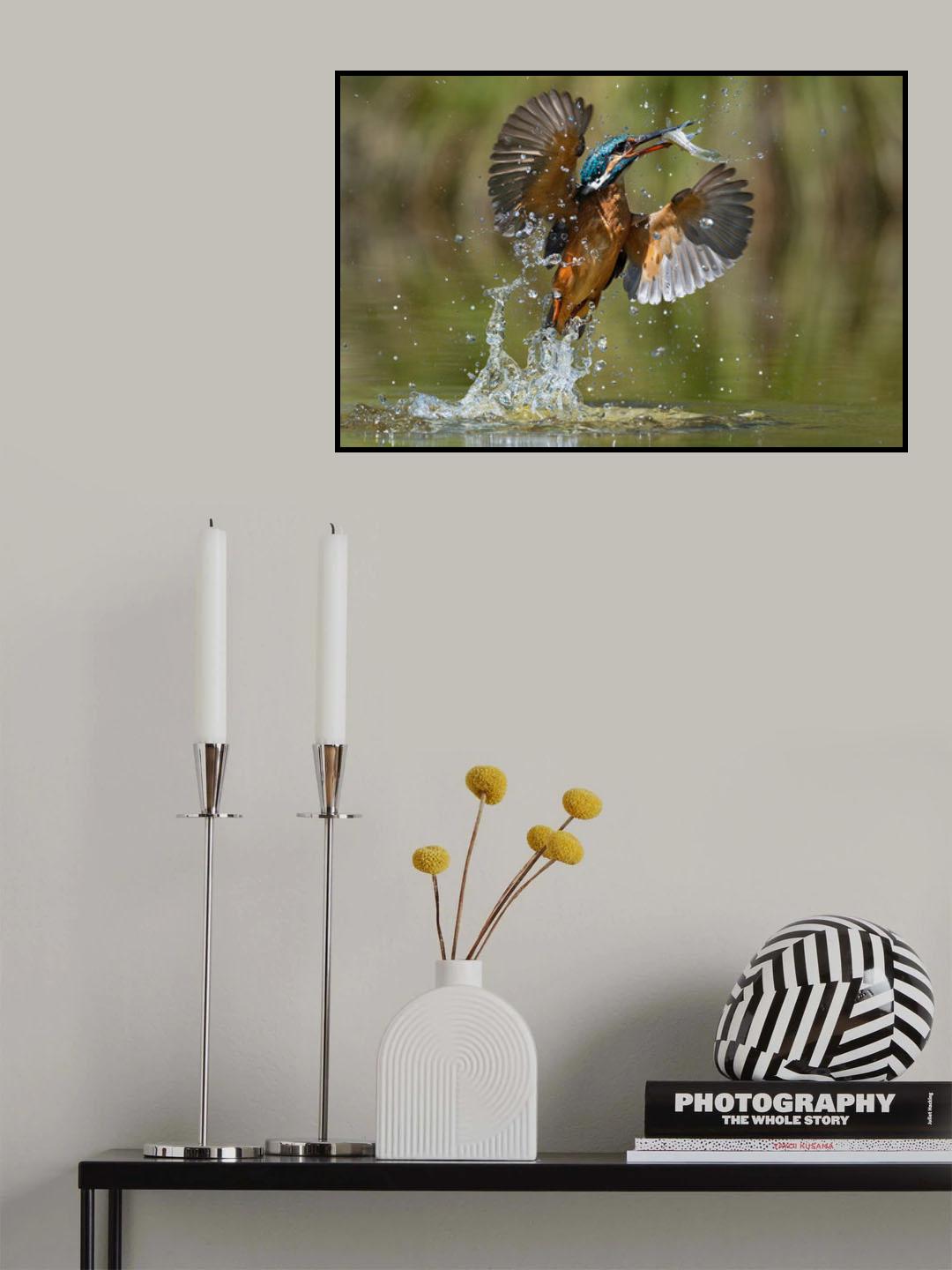 Gotcha! Poster och Canvastavla