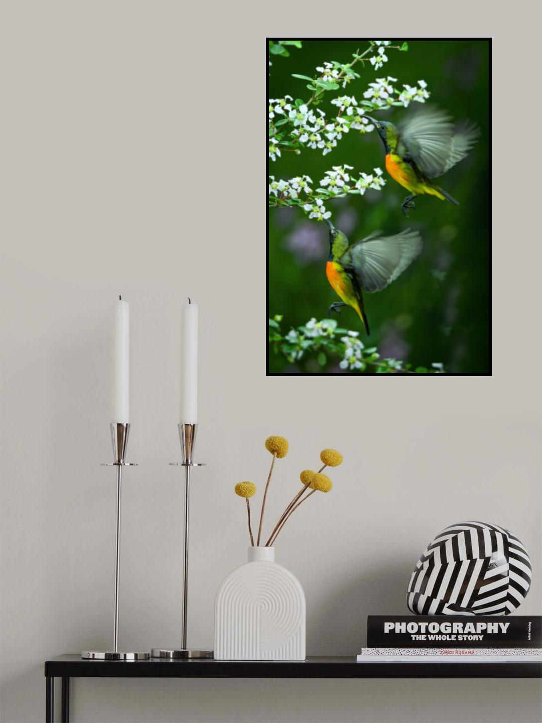 twin Poster och Canvastavla