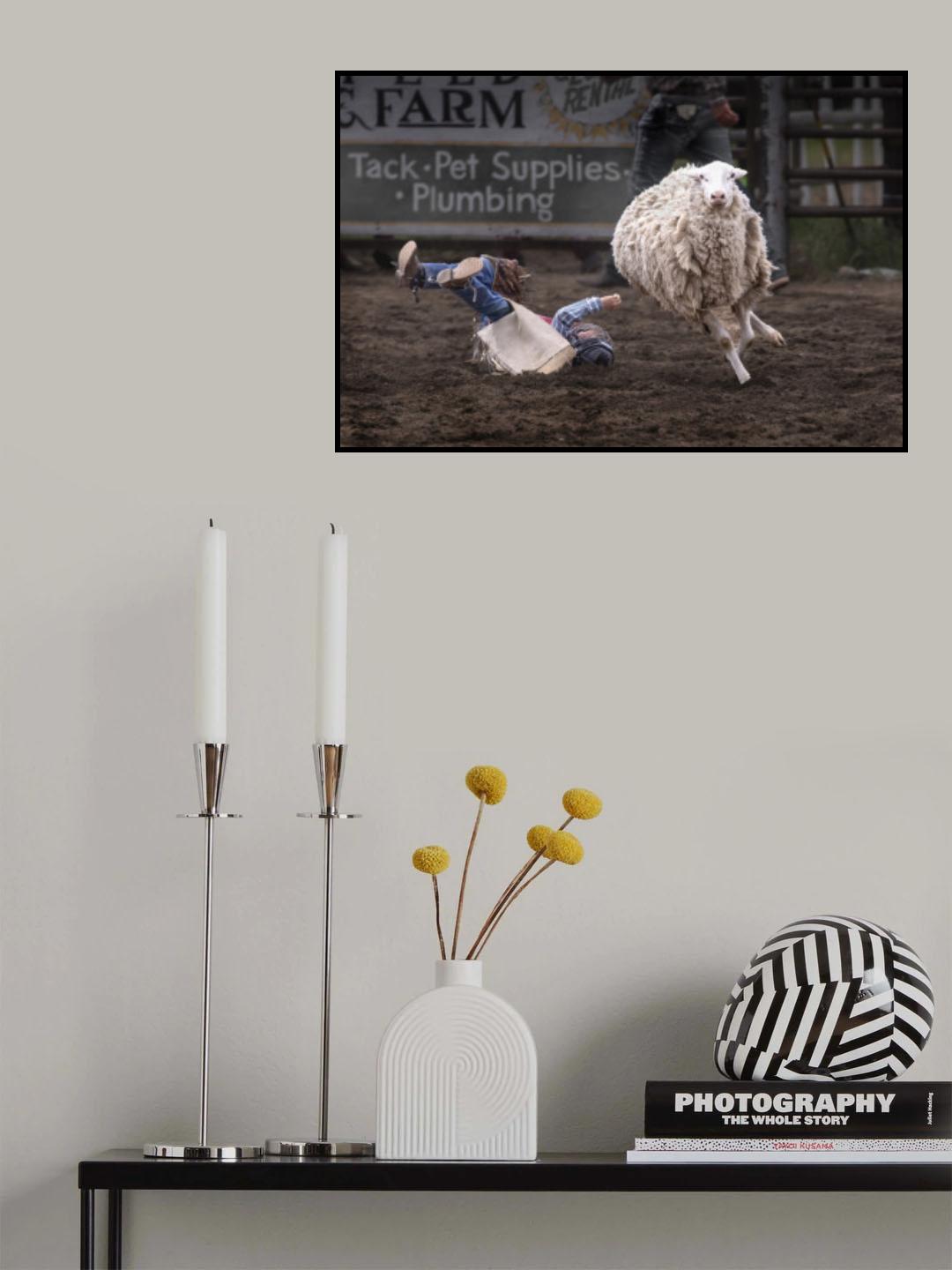 Victor in Mutton Busting Poster och Canvastavla