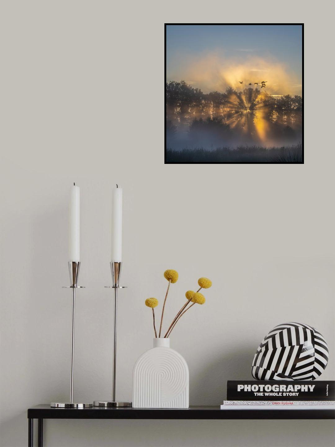 the Netherlands in the early morning Poster och Canvastavla