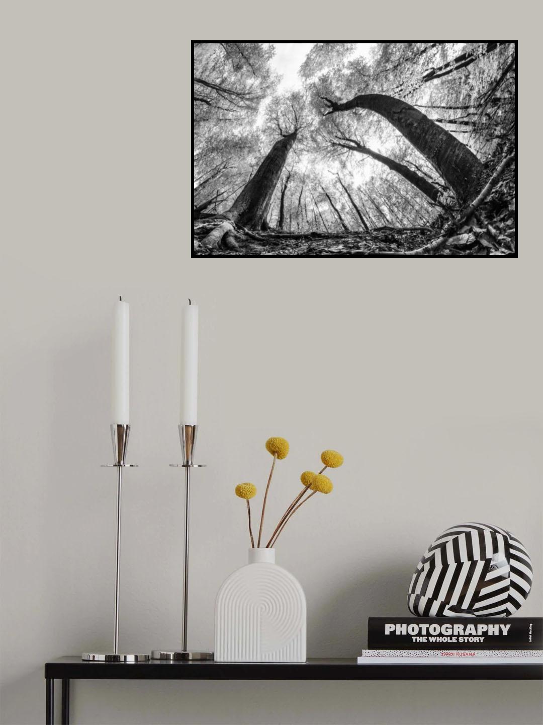 Dialogue III Poster och Canvastavla