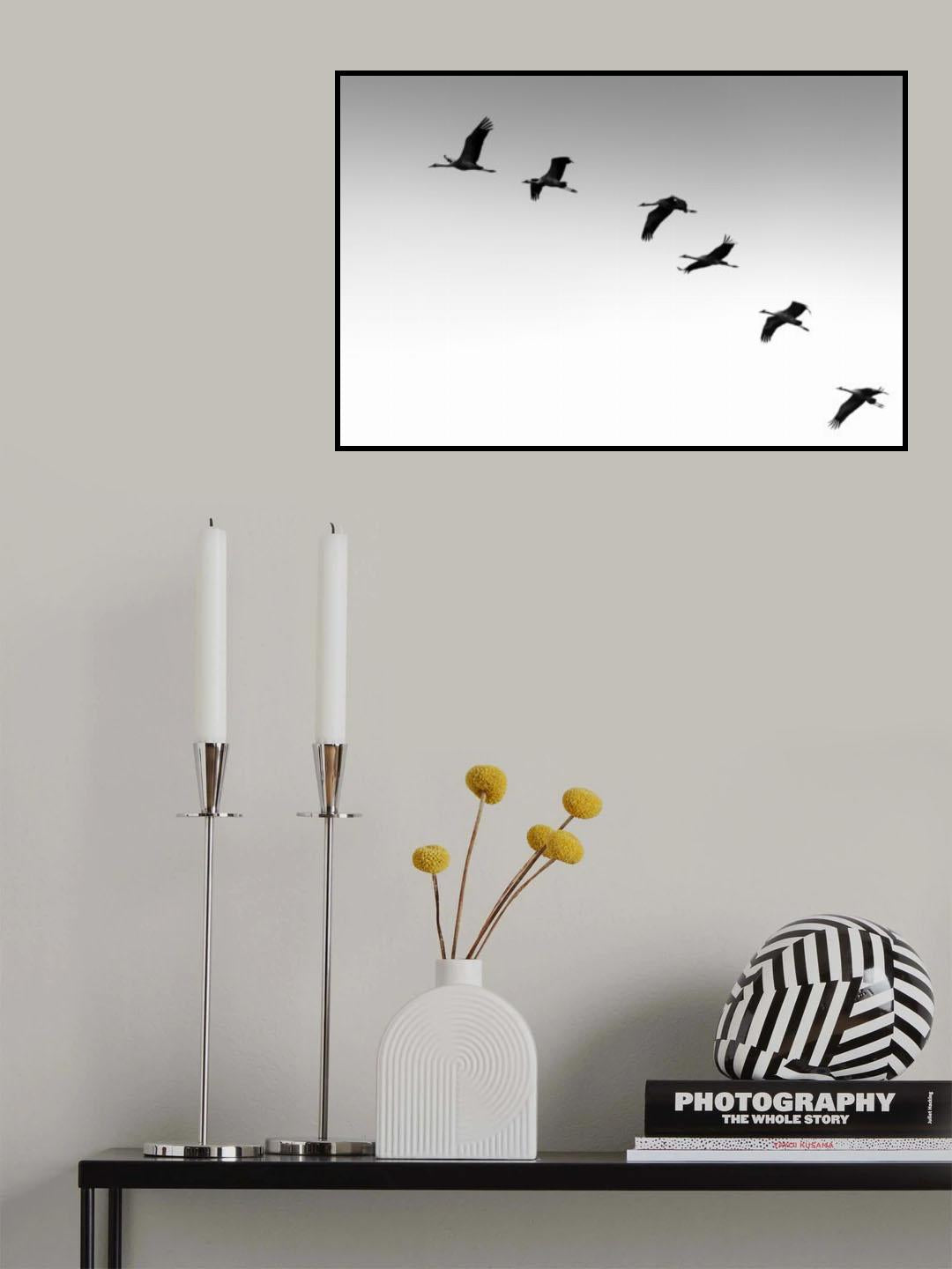 Cranes Poster och Canvastavla