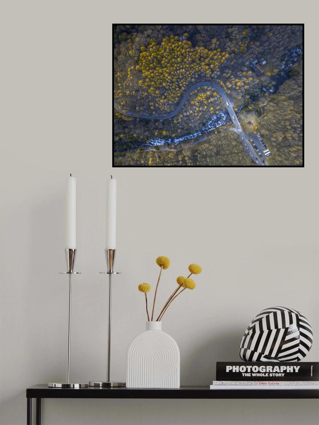 Nikko Forest Poster och Canvastavla