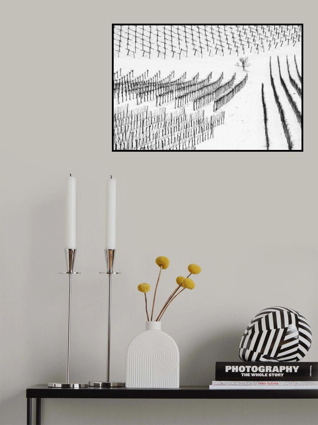 Winter Lines Poster och Canvastavla