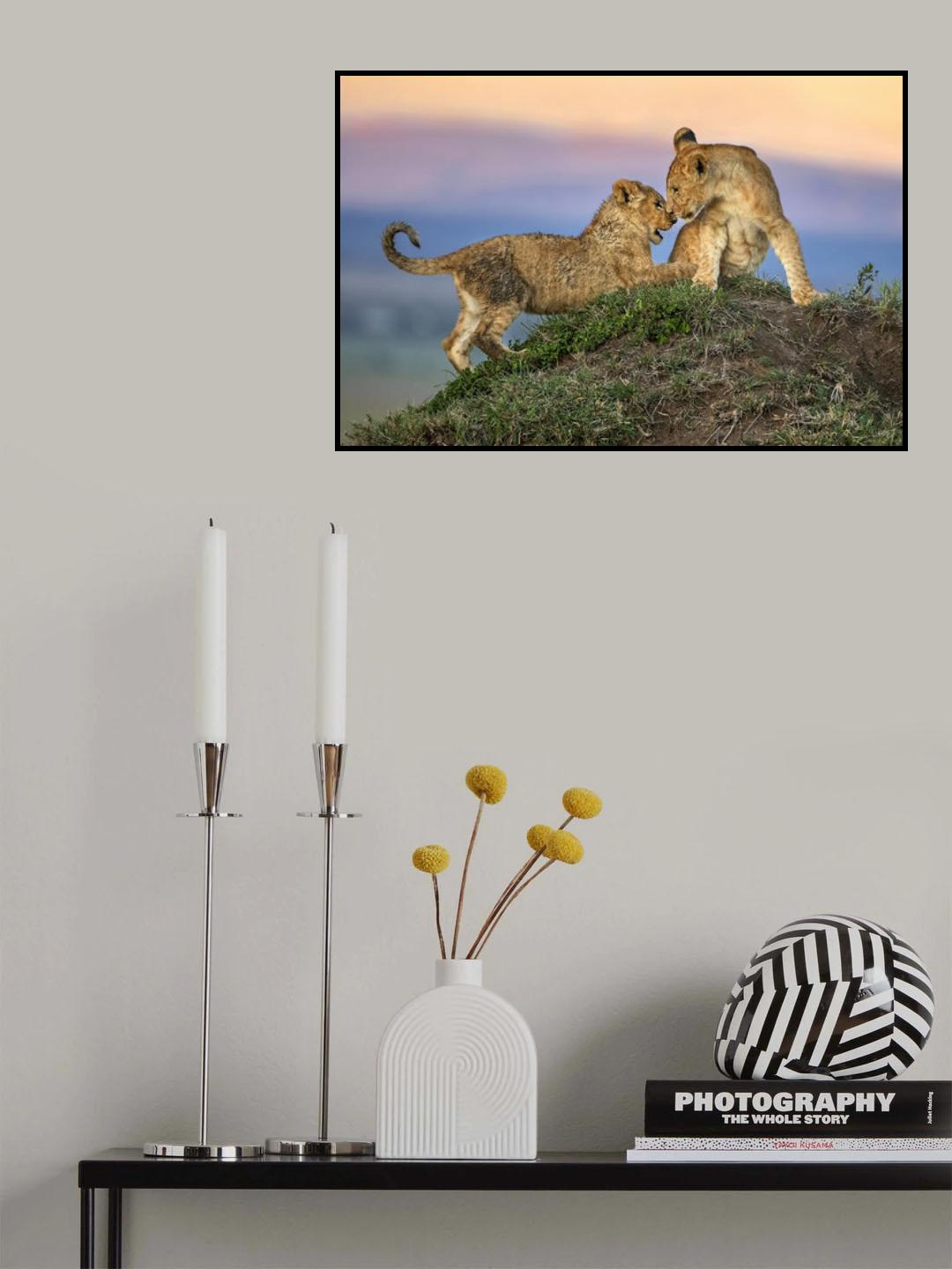 Brothers affection Poster och Canvastavla