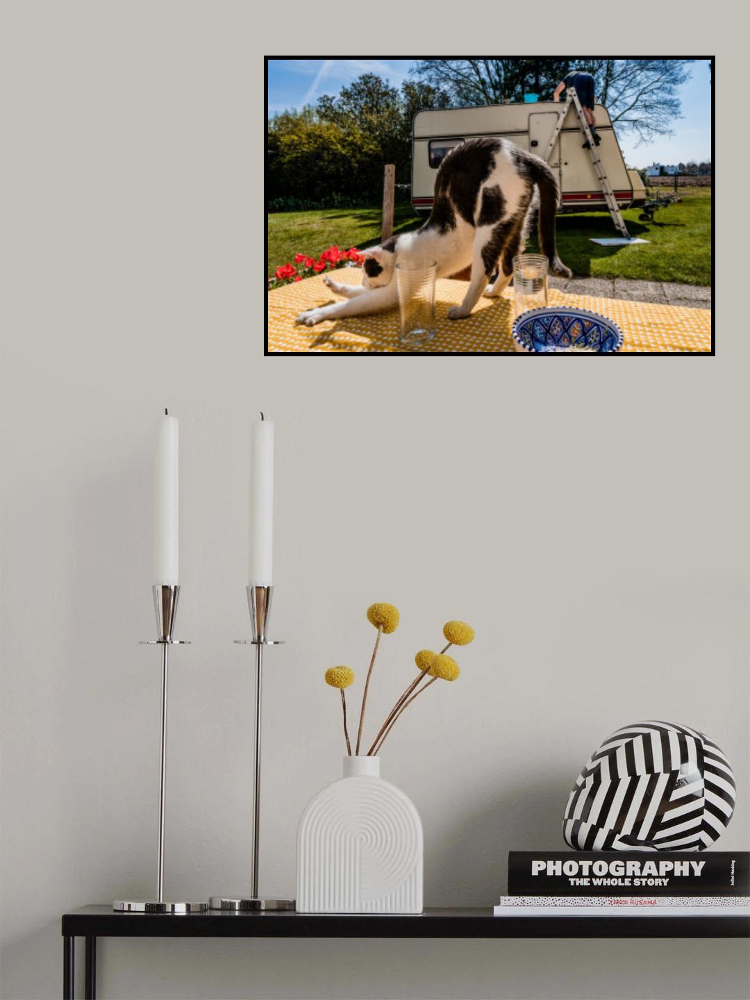 Simular poses... Poster och Canvastavla