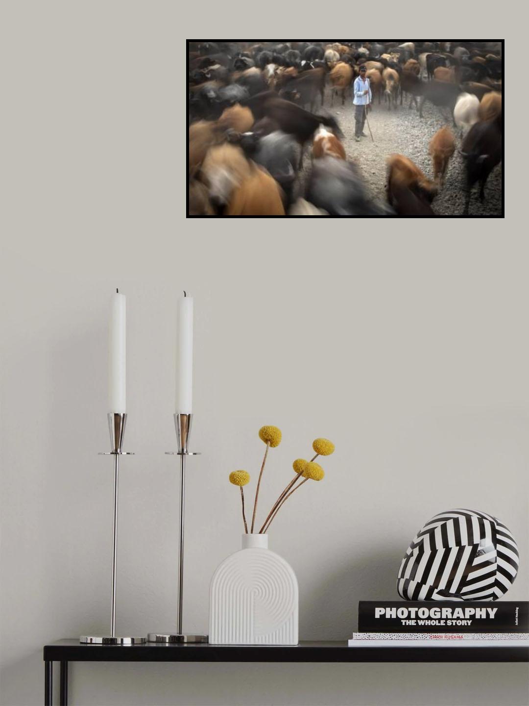 shepherd and his flock Poster och Canvastavla