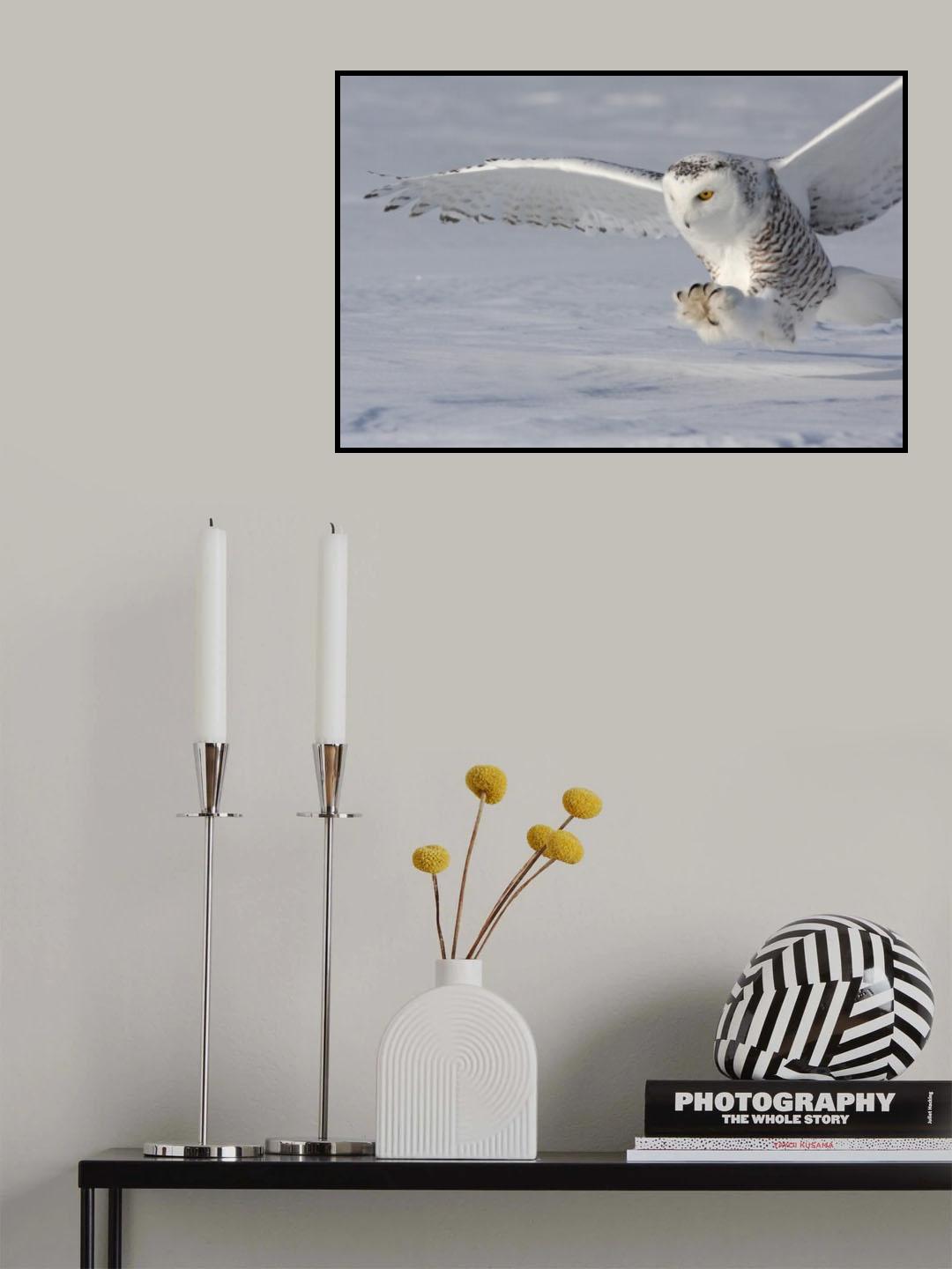 The white hunter Poster och Canvastavla