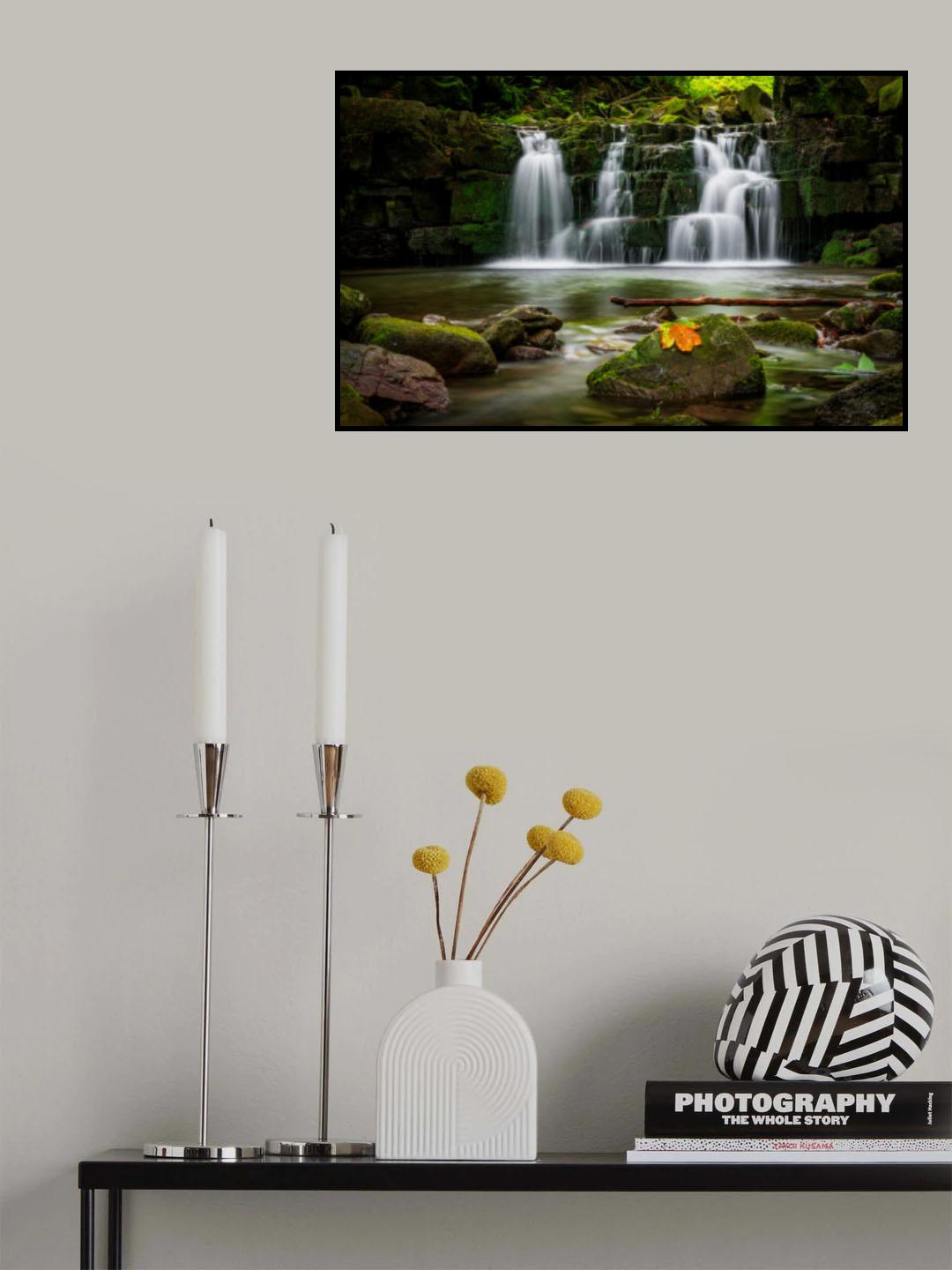 Still life with stick and leaf Poster och Canvastavla