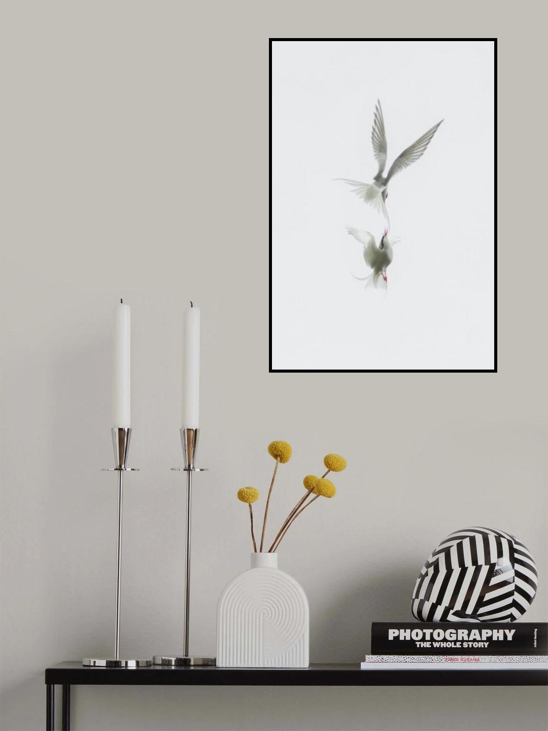 Tern Poster och Canvastavla