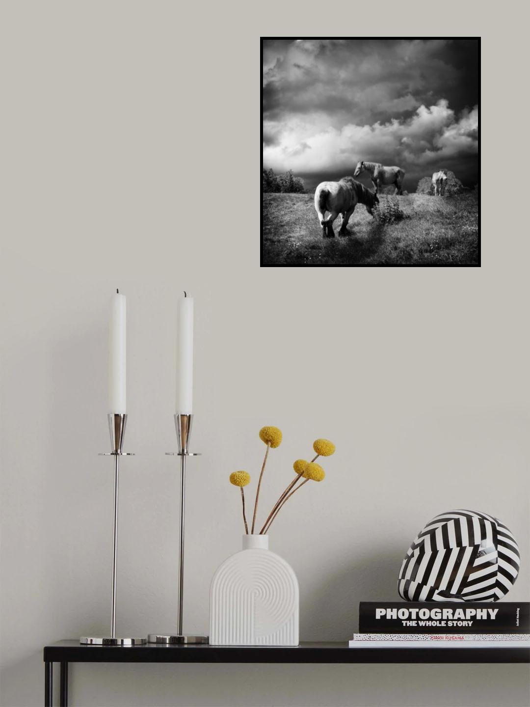summertime Poster och Canvastavla