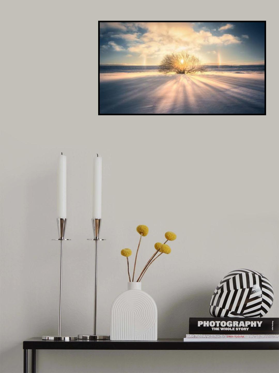 Immortal tree Poster och Canvastavla