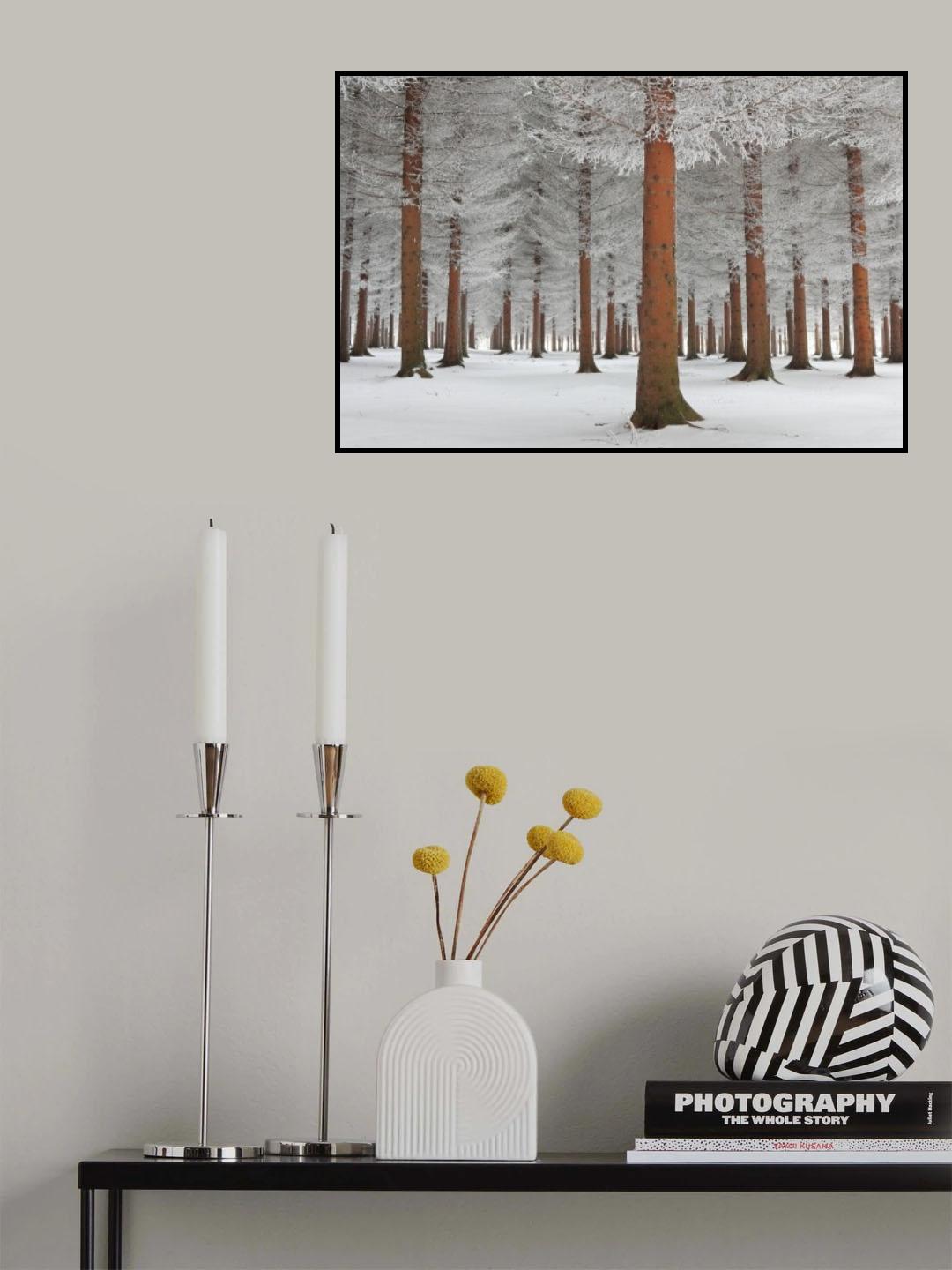 magical forest Poster och Canvastavla