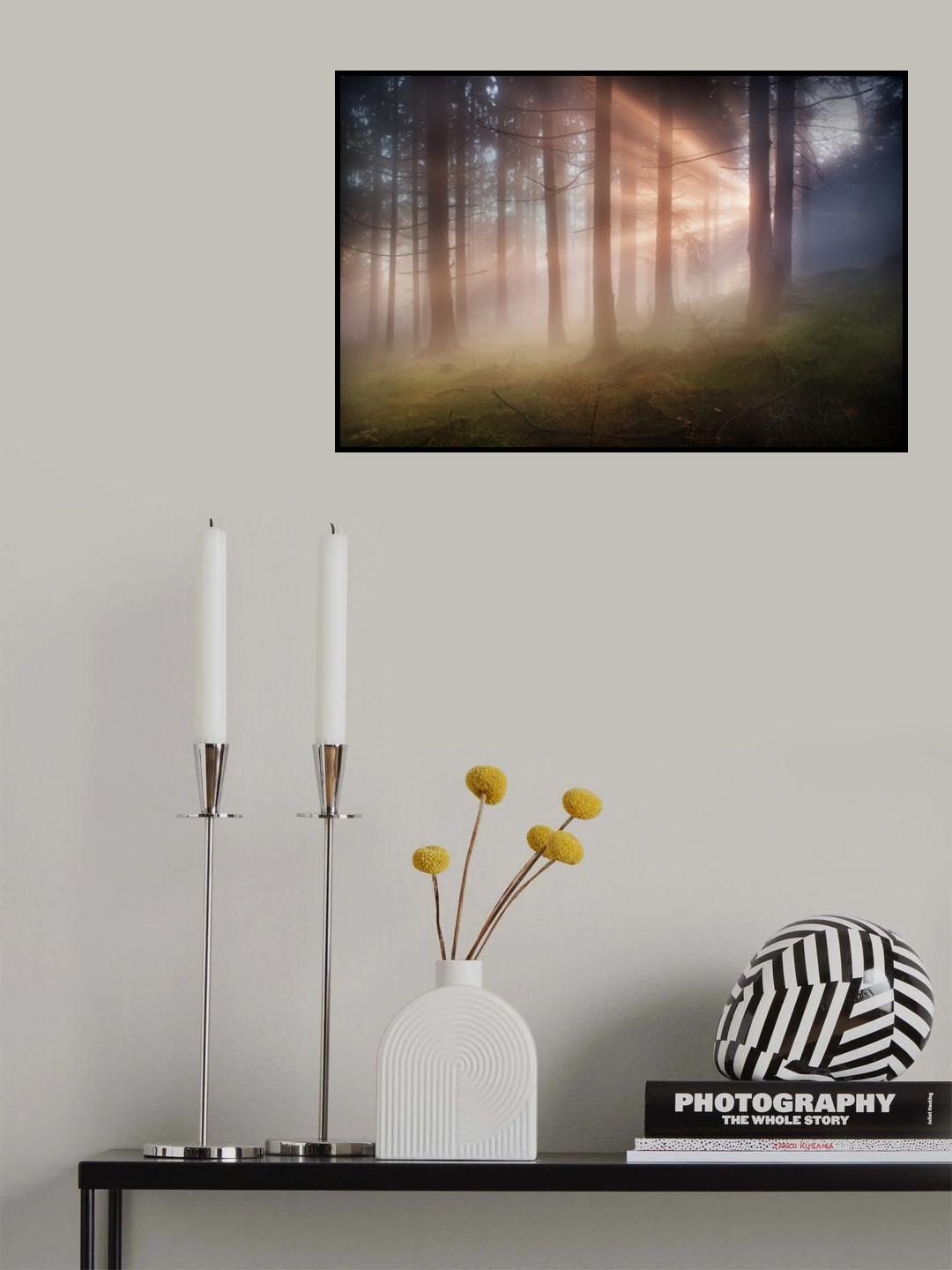 evening Poster och Canvastavla