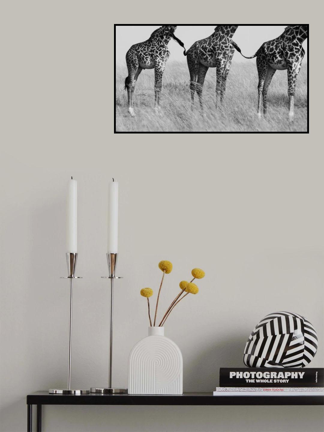 Wild Connection Poster och Canvastavla