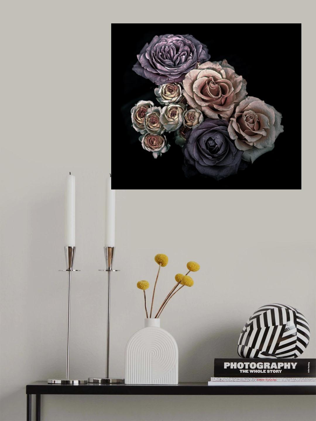 Roses Poster och Canvastavla