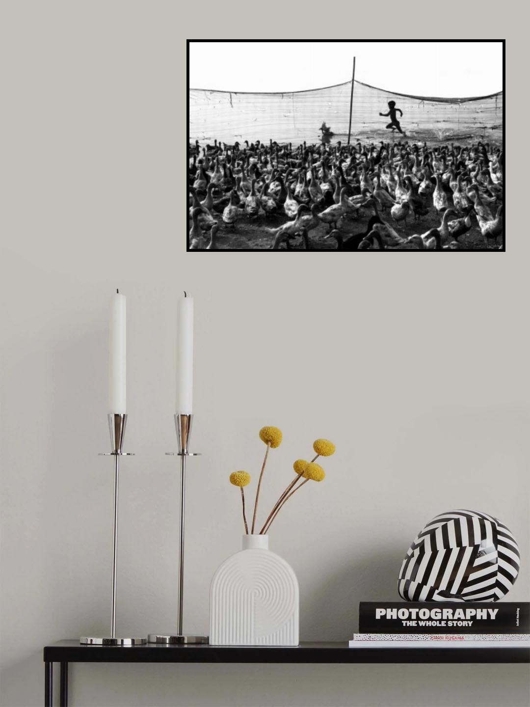 Freedom Poster och Canvastavla