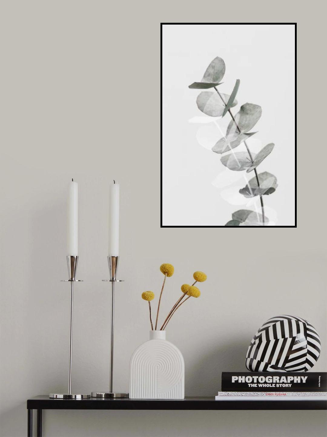 Eucalyptus Creative 05 Poster och Canvastavla