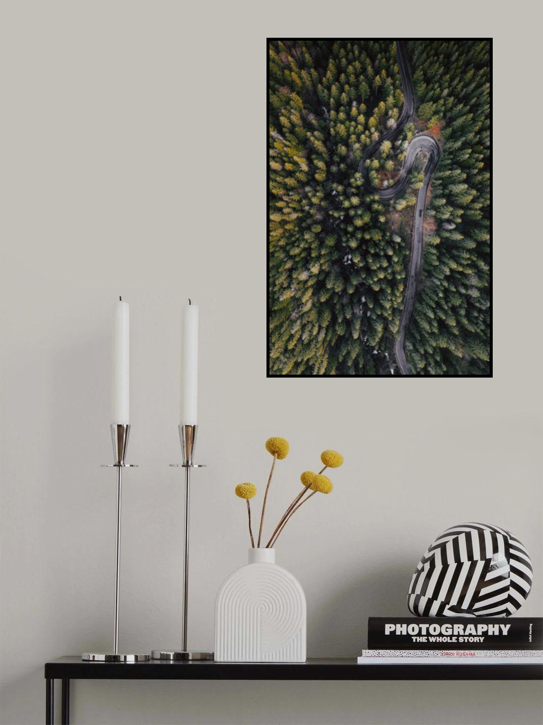 Forest vibes Poster och Canvastavla
