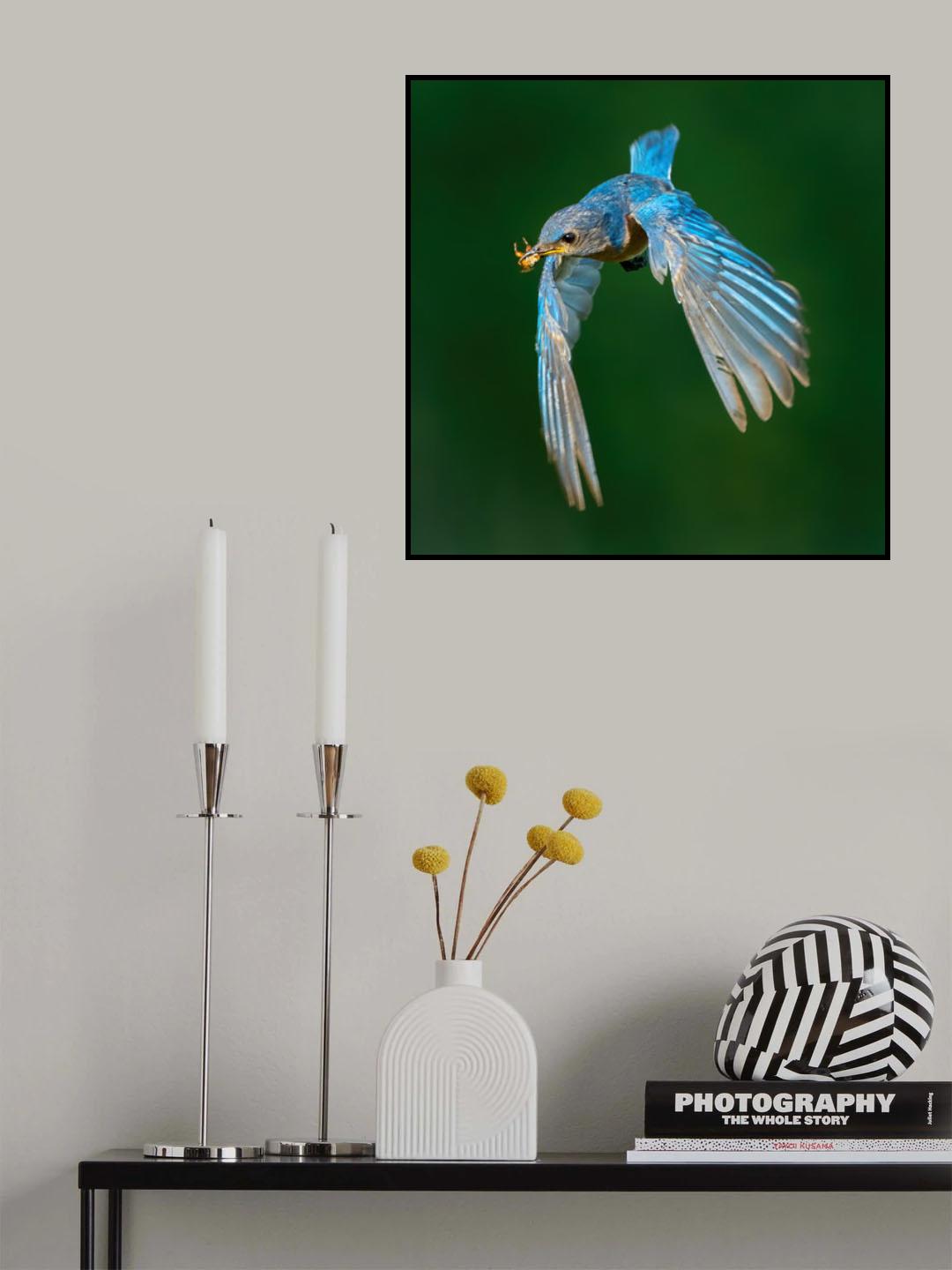 Piecemeal Poster och Canvastavla
