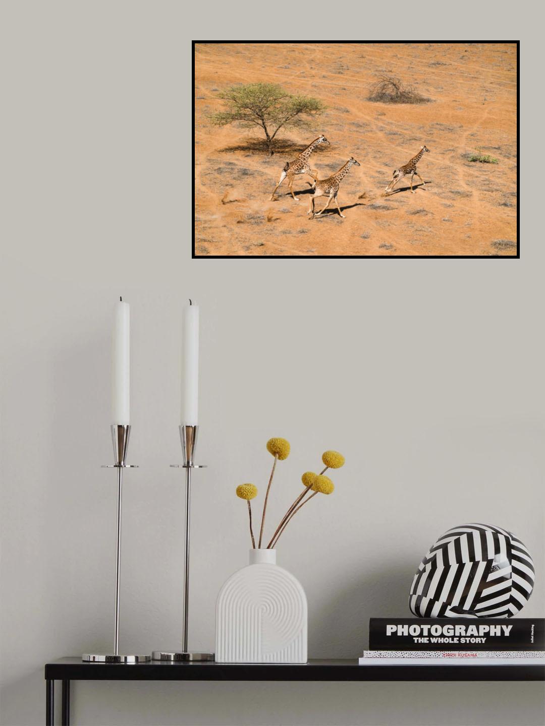 Family Paradise Poster och Canvastavla