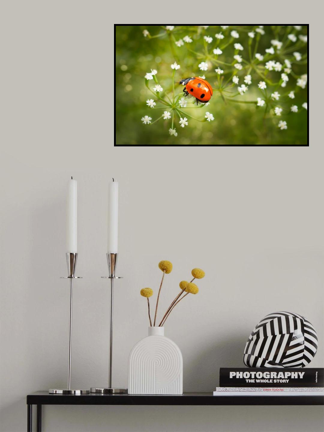 Walk on flowers Poster och Canvastavla