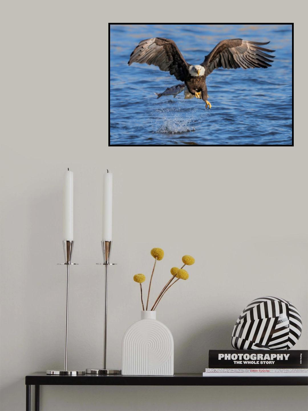 Oops Poster och Canvastavla