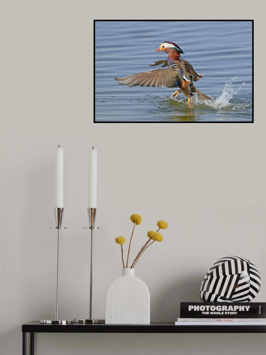 Walking on water Poster och Canvastavla