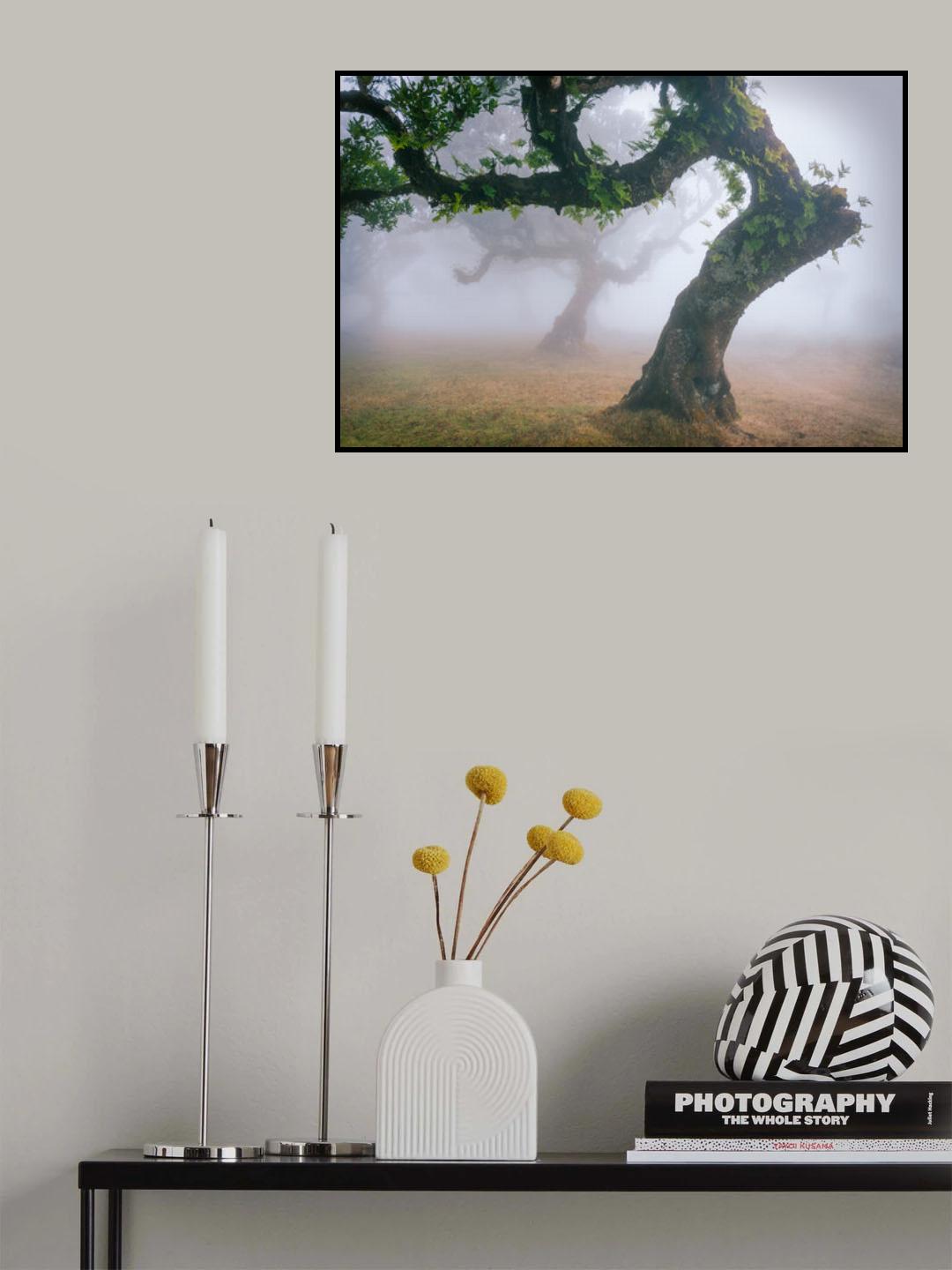 Ents Poster och Canvastavla