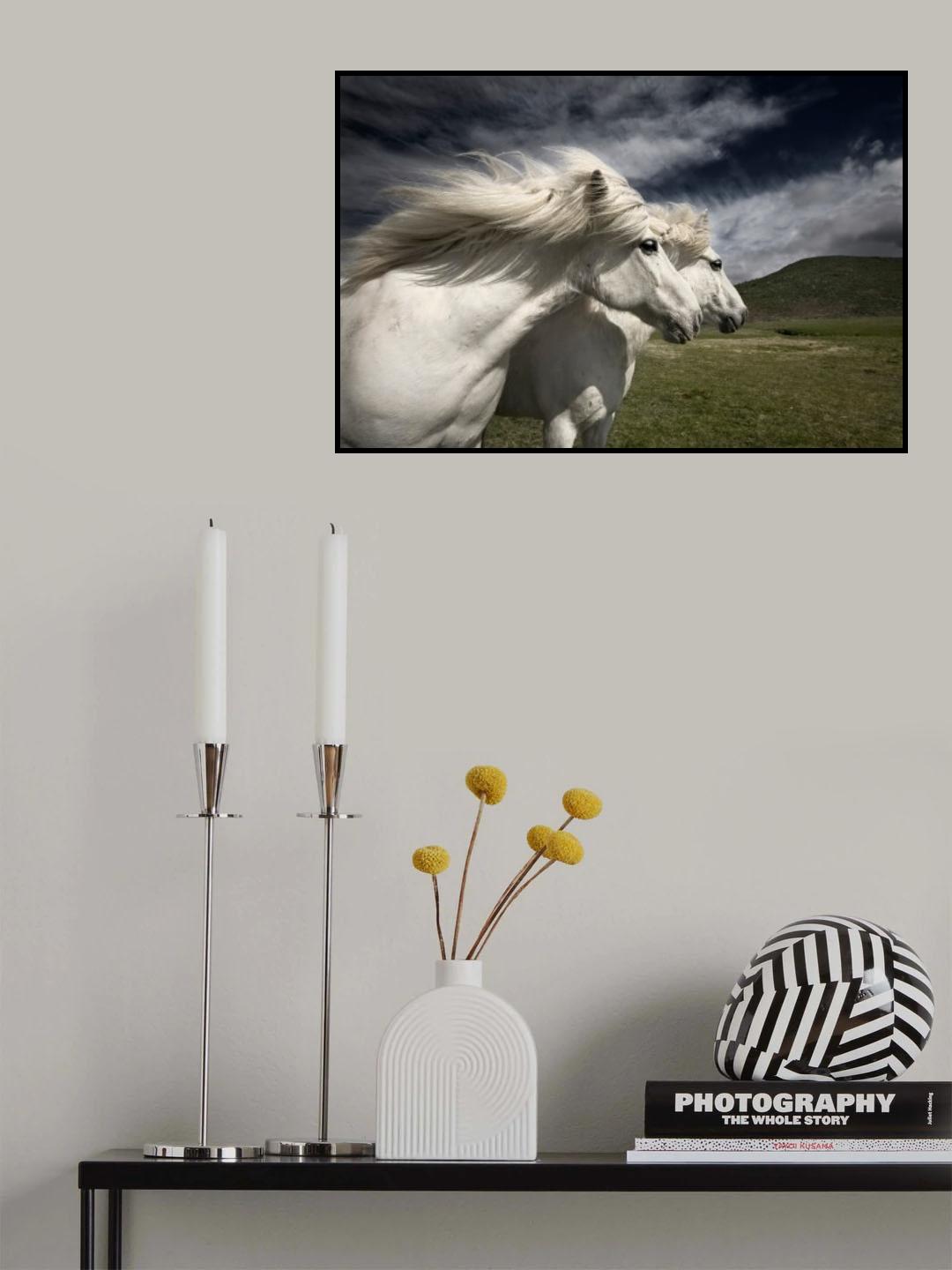 Interplay Poster och Canvastavla