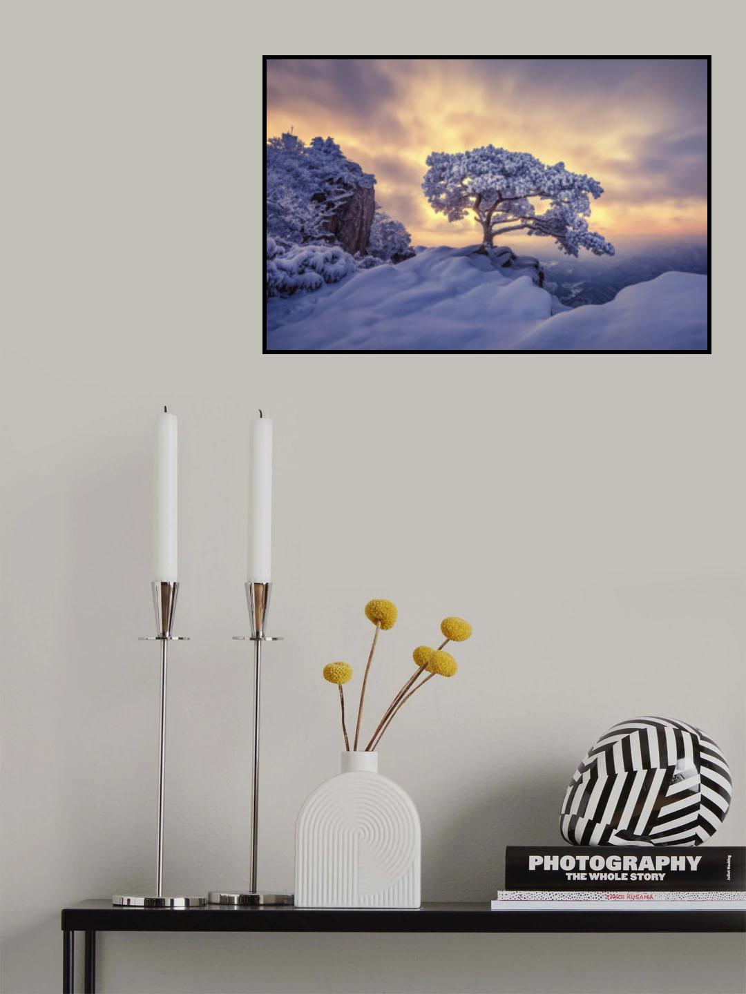 Pine tree on the rock Poster och Canvastavla