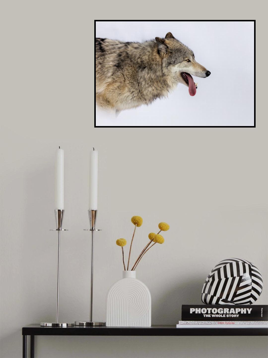 Loving Snow Poster och Canvastavla