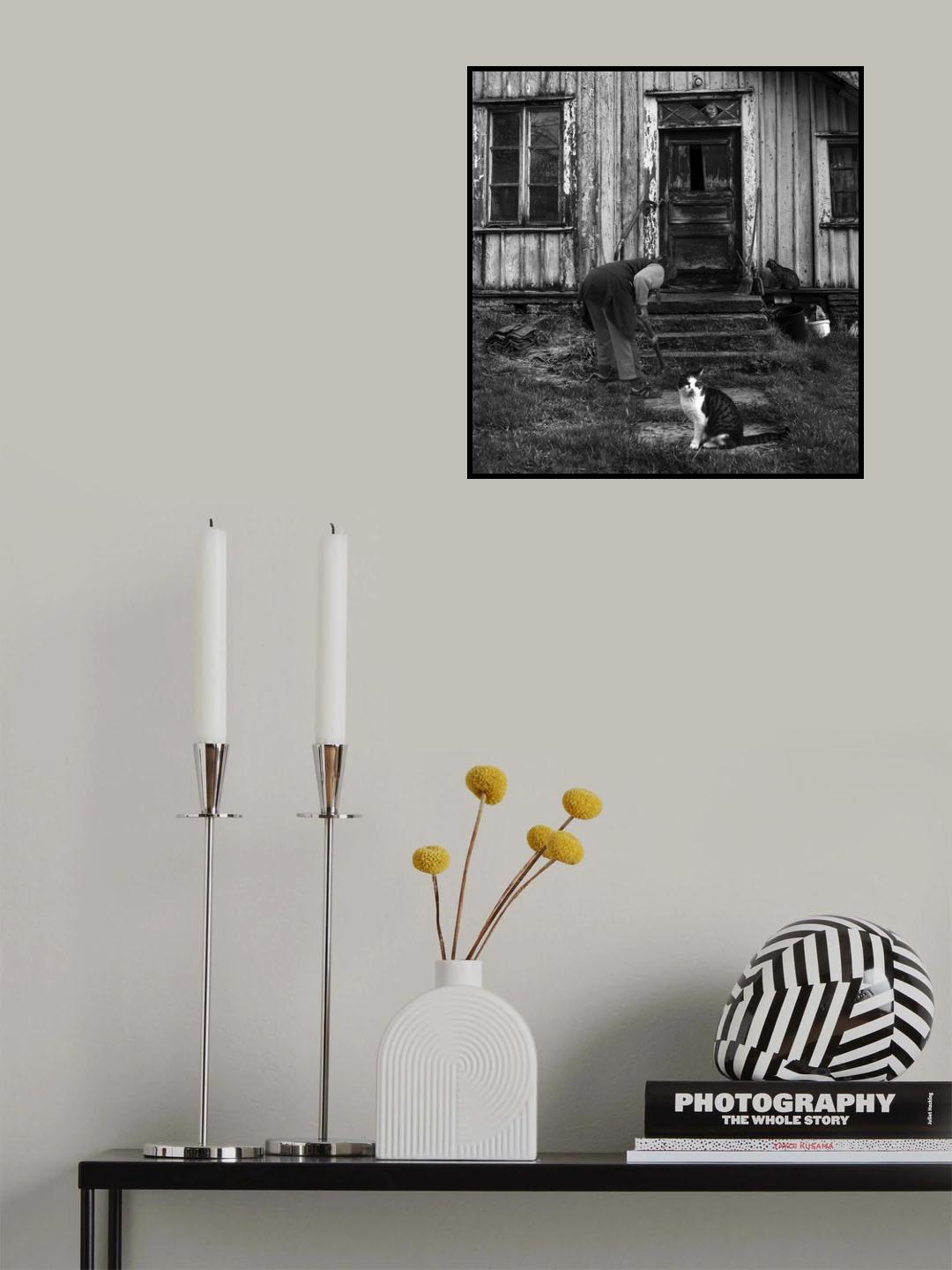 Lady & cat Poster och Canvastavla