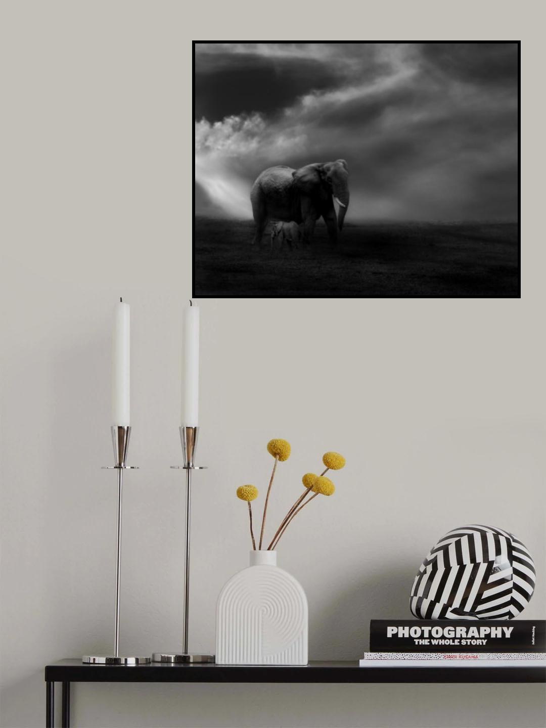 Affection Poster och Canvastavla