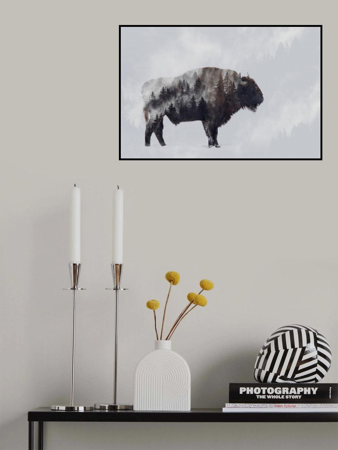 Bison - Double Exposure Poster och Canvastavla