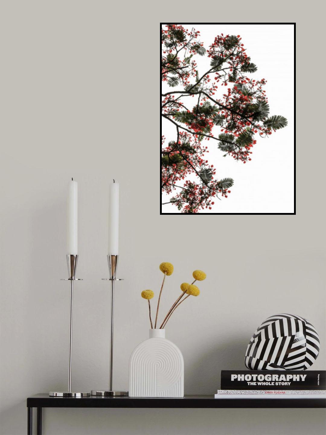 Flamboyant Poster och Canvastavla