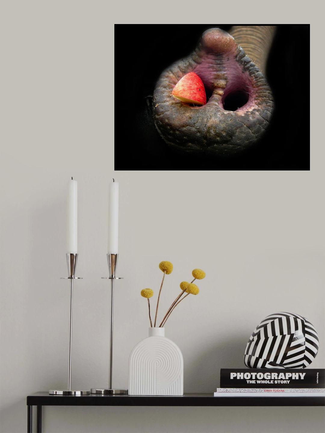 Big Nose Poster och Canvastavla
