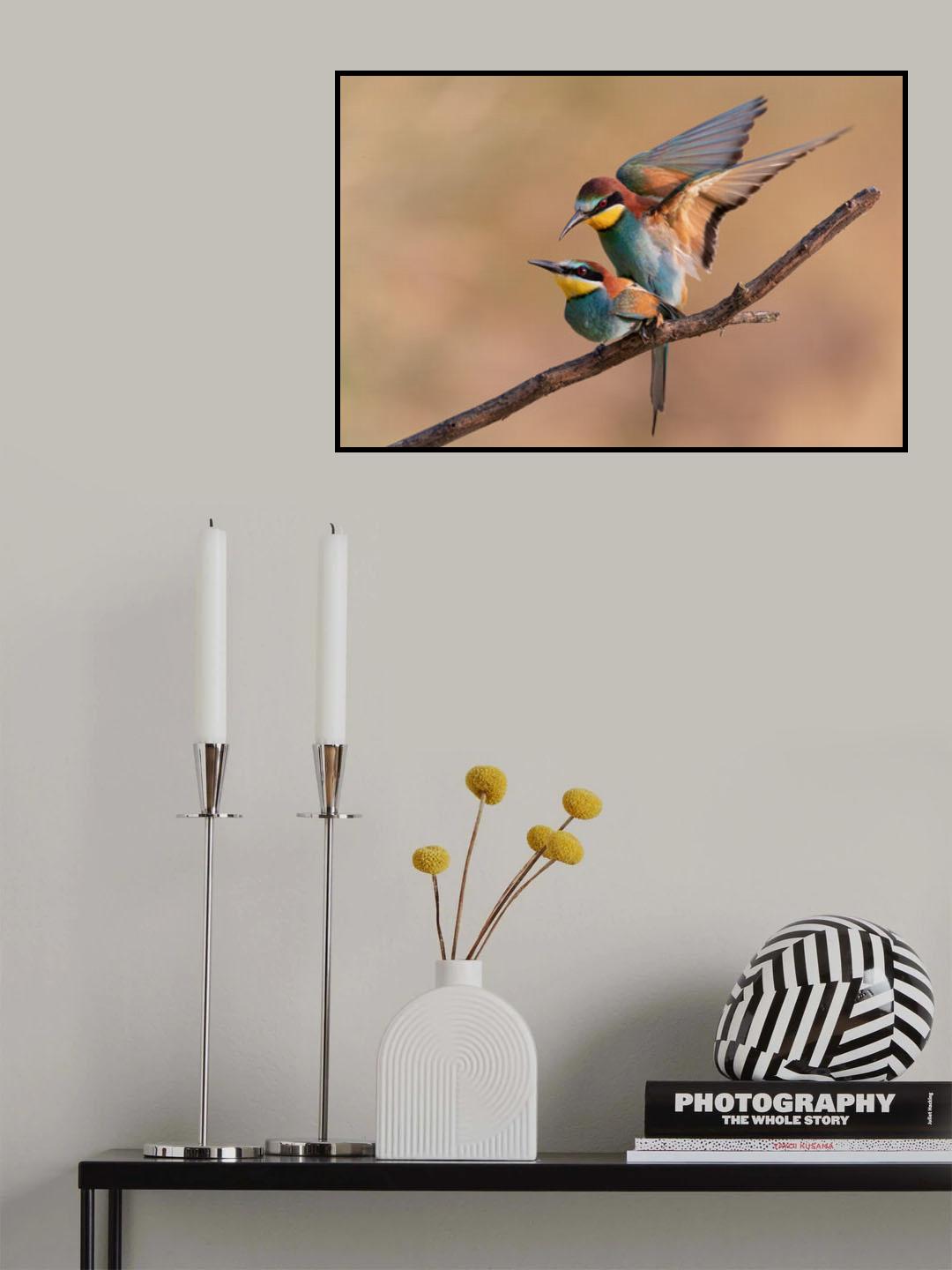 Bee-Eater Poster och Canvastavla
