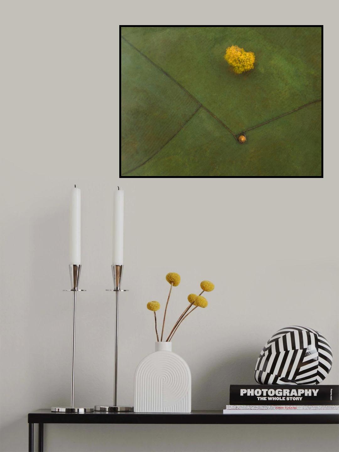 B U C O V I N A Poster och Canvastavla